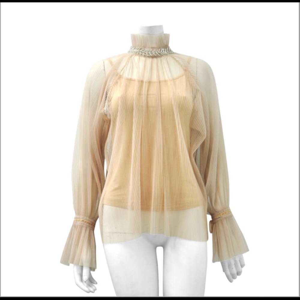 Sheer long sleeve top